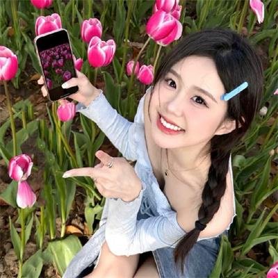 动物宝宝 封面